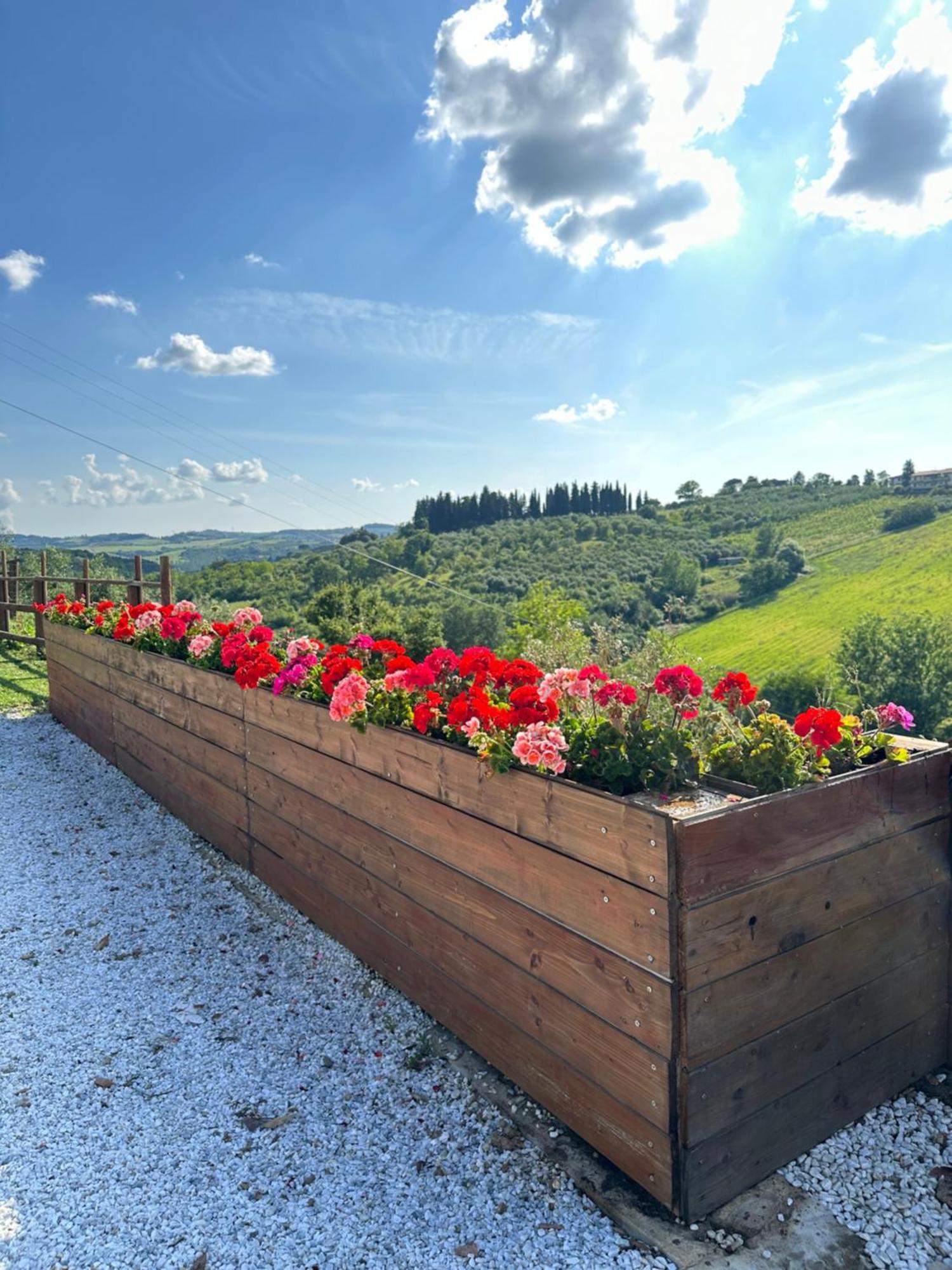 Colle Del Sole Guest House ลาสตรา อา ซินญา ภายนอก รูปภาพ