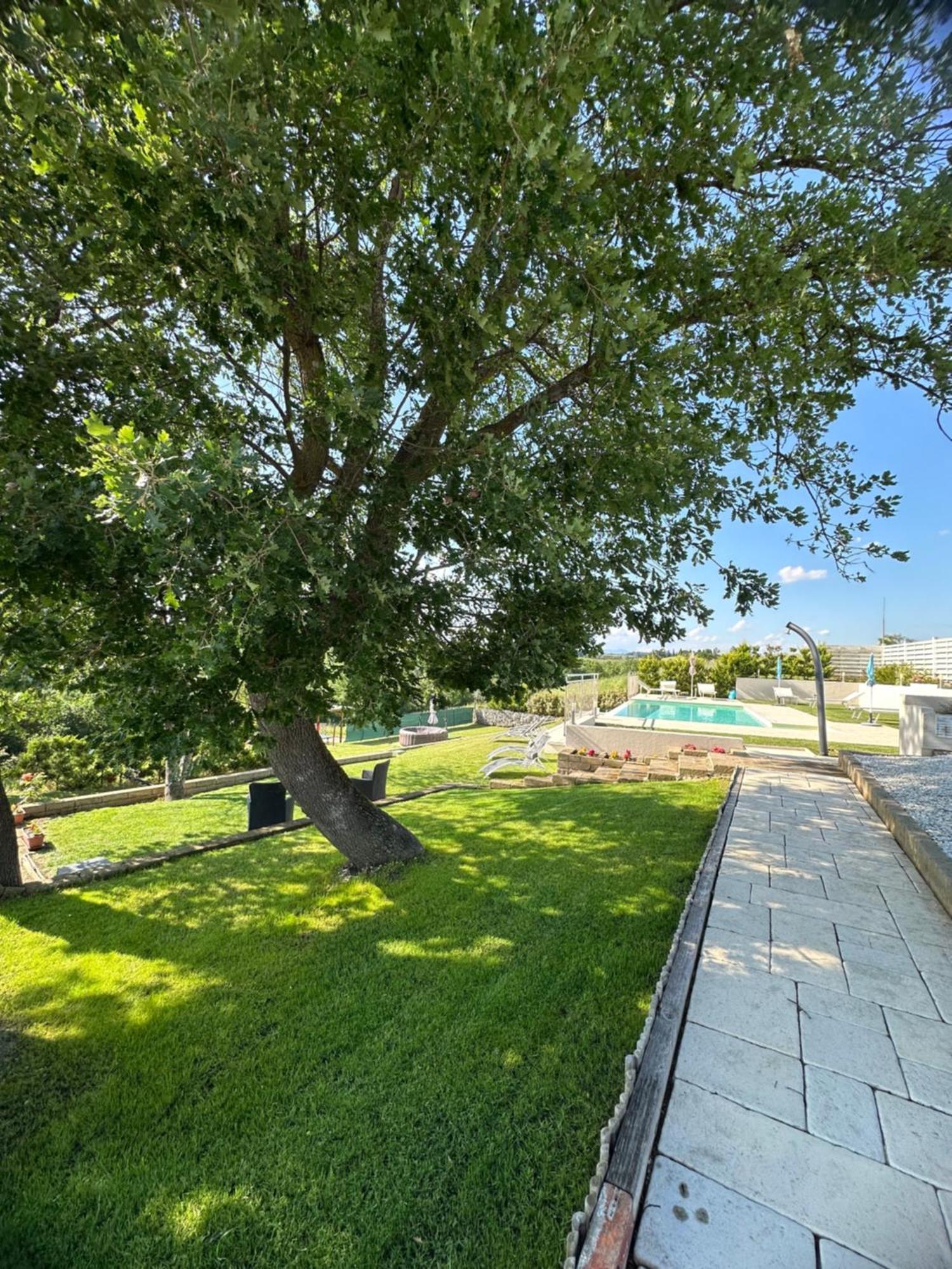 Colle Del Sole Guest House ลาสตรา อา ซินญา ภายนอก รูปภาพ